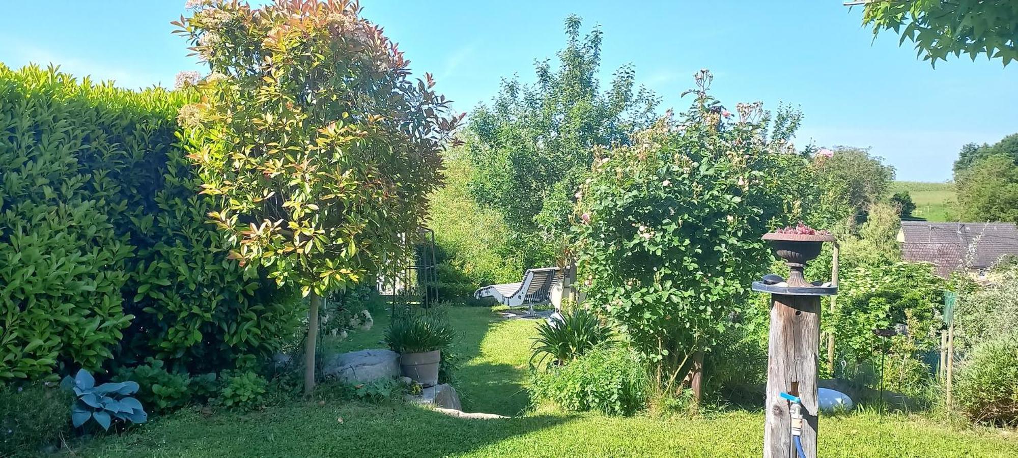 Ferienwohnung Rebgaertle Britzingen Exterior foto